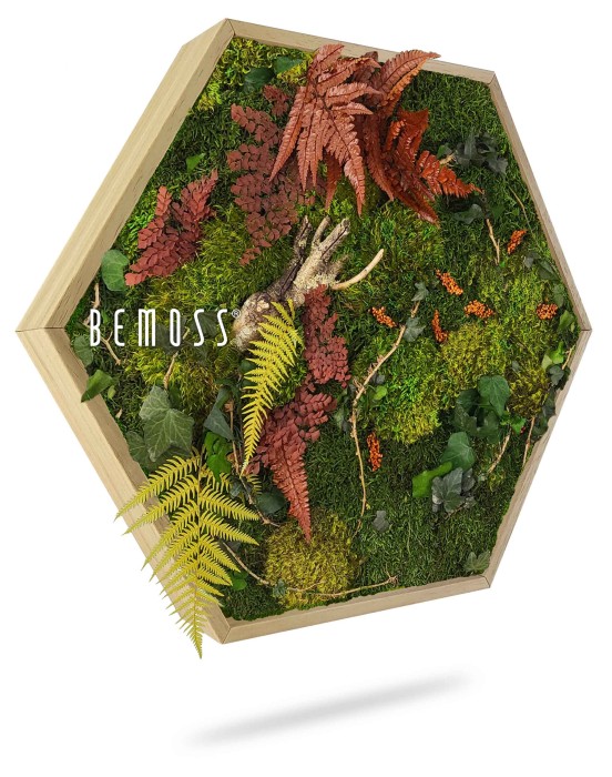 Un cadre hexagonal en bois contenant un jardin vertical avec diverses plantes, dont de la mousse verte, des fougères rouge orangé et jaune et d'autres feuillages mixtes. Le mot « BEMOSS » est affiché en texte blanc à travers la verdure. Ce superbe tableau de mousse apporte magnifiquement la nature à l’intérieur.