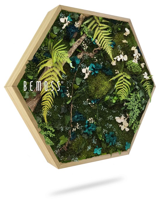 Un cadre hexagonal en bois de BEMOSS, présentant un arrangement artistique de mousse, de fougères et de verdure préservées. Des fleurs blanches et bleues sont intercalées parmi les plantes, créant un tableau de mousse luxuriant et naturel. Le cadre projette une ombre subtile sur un fond blanc.