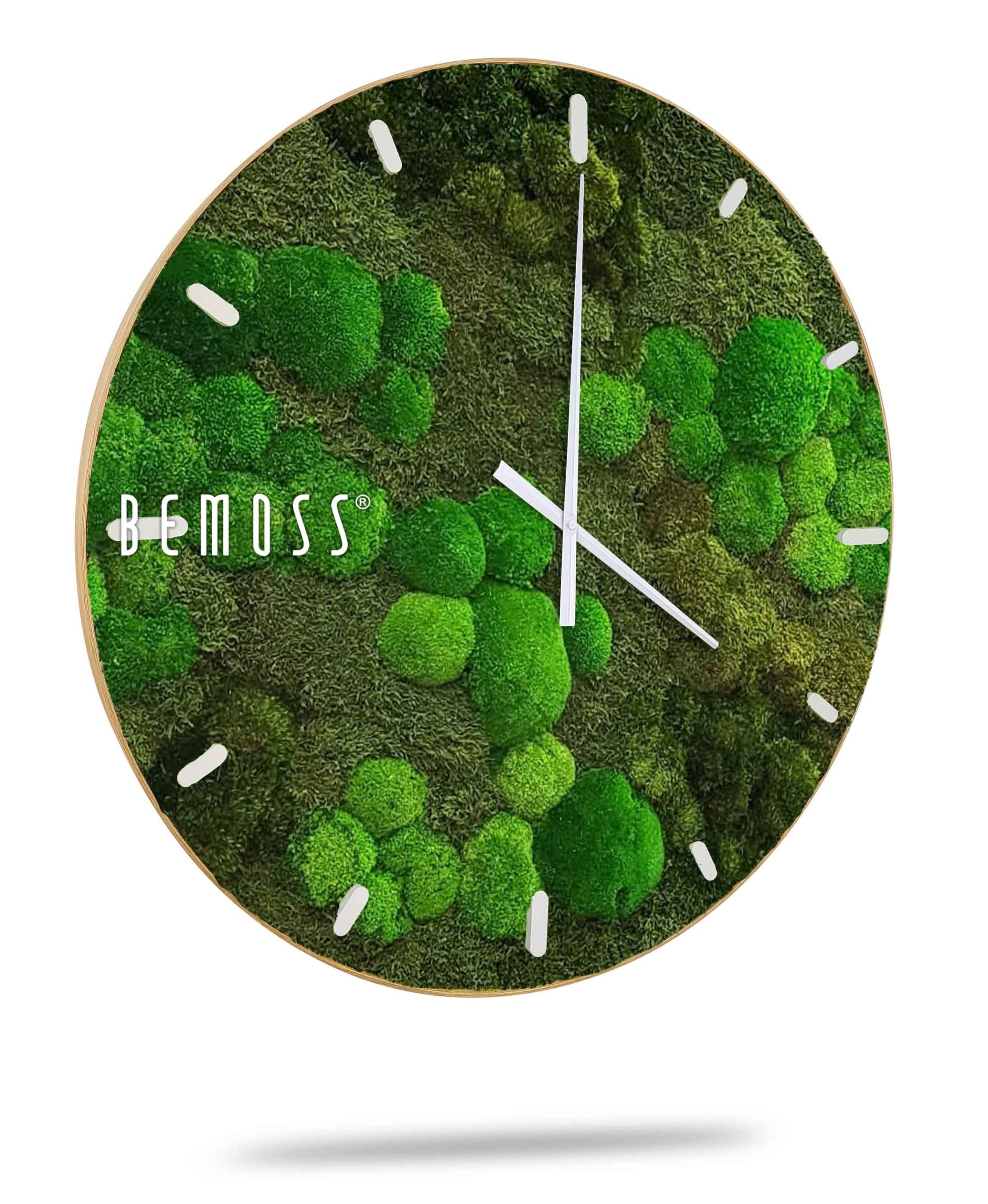Horloge de mousse BOLMOSS Minerva avec cadran