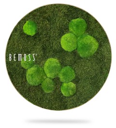 Une pièce de décor circulaire présentant diverses nuances de mousse verte disposées en grappes sur un fond semblable à de l'herbe, rappelant des murs végétaux complexes. Le mot « BEMOSS » est écrit en lettres blanches sur le côté gauche du cercle.