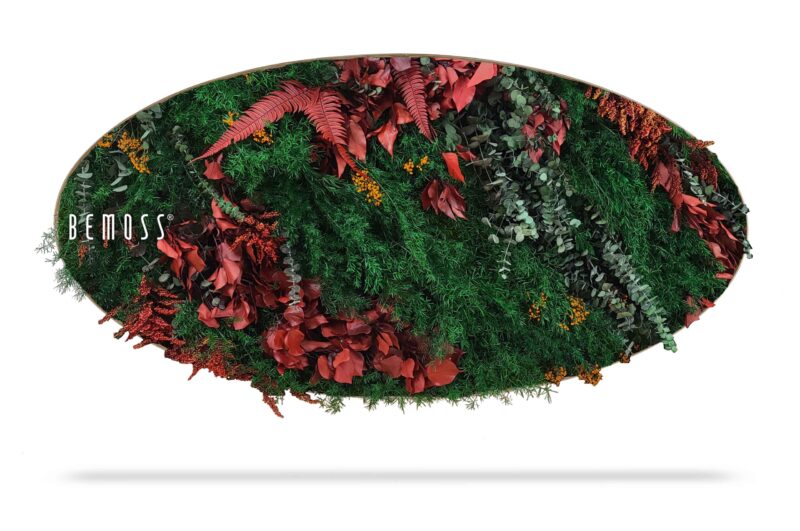 Tableau de mousse Ellipse PLANTES Zorita