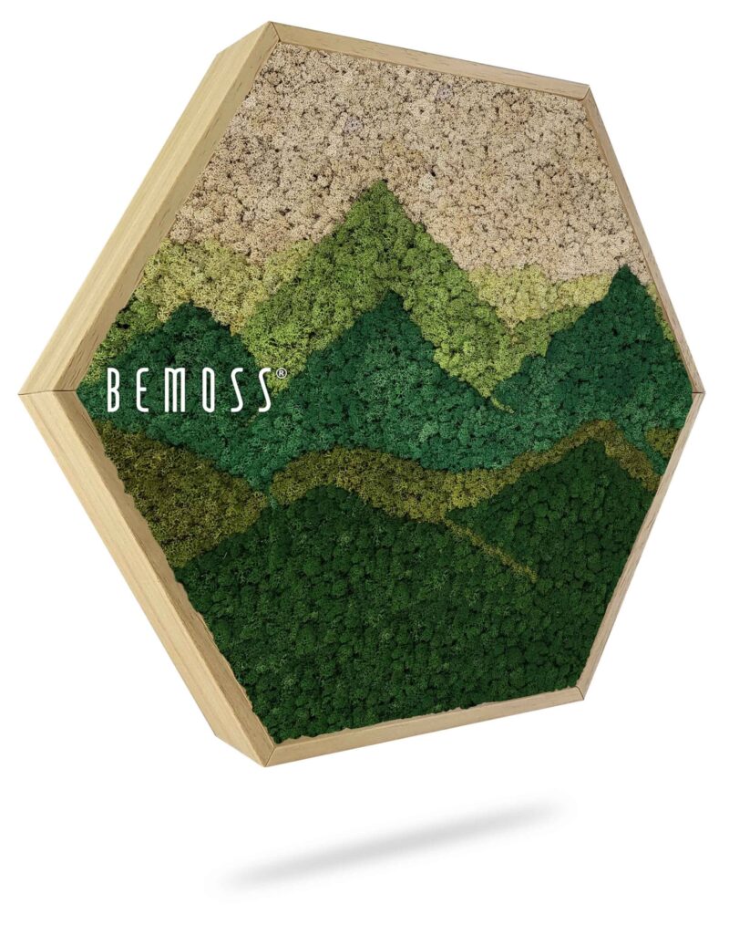 Hexagone de mousse BEMOSS® Panorama