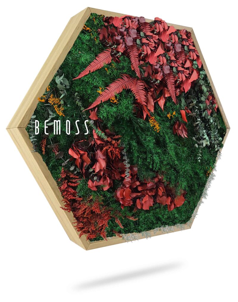 Hexagone de mousse PLANTES Zorita
