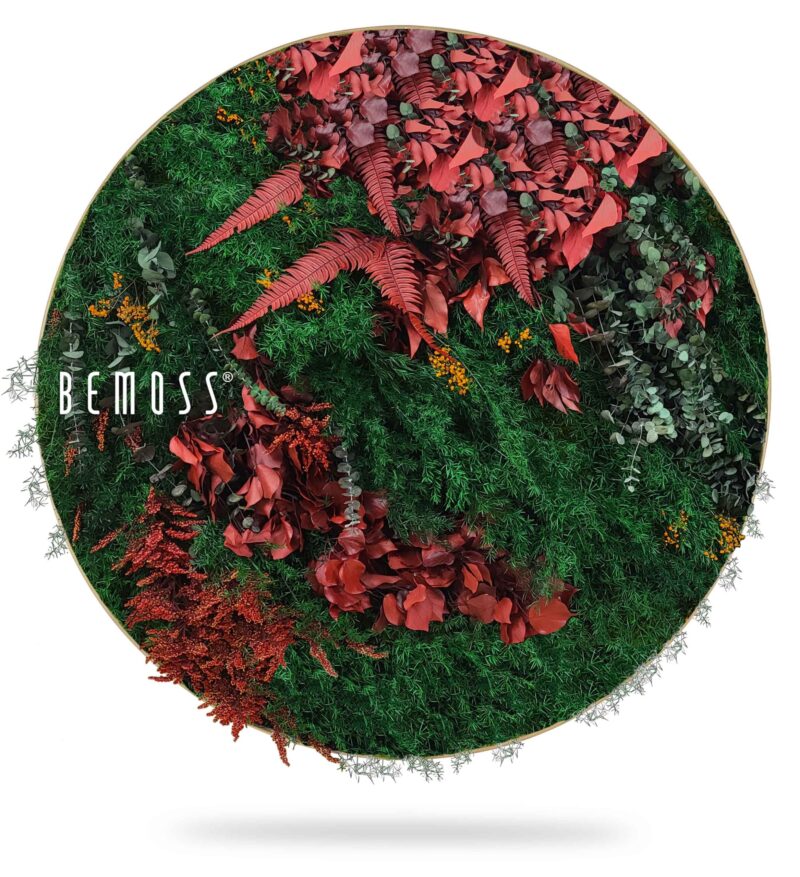 Tableau de mousse rond PLANTES Zorita