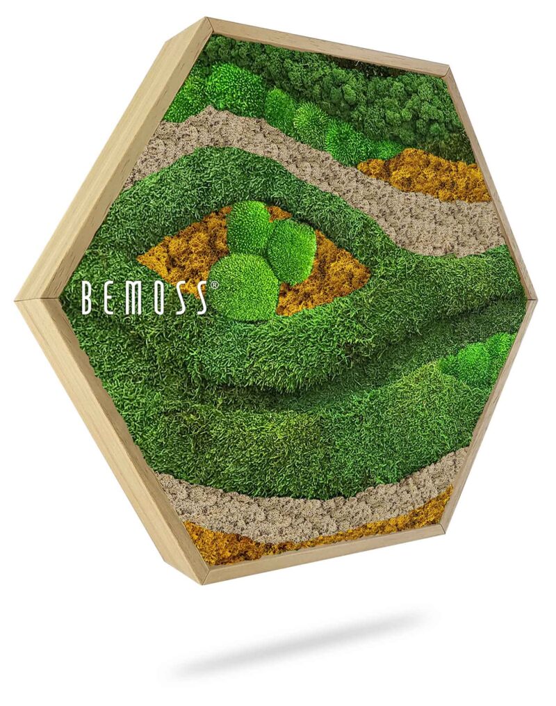 Hexagone de mousse BEMOSS® ORTHO TOCÓN Automne