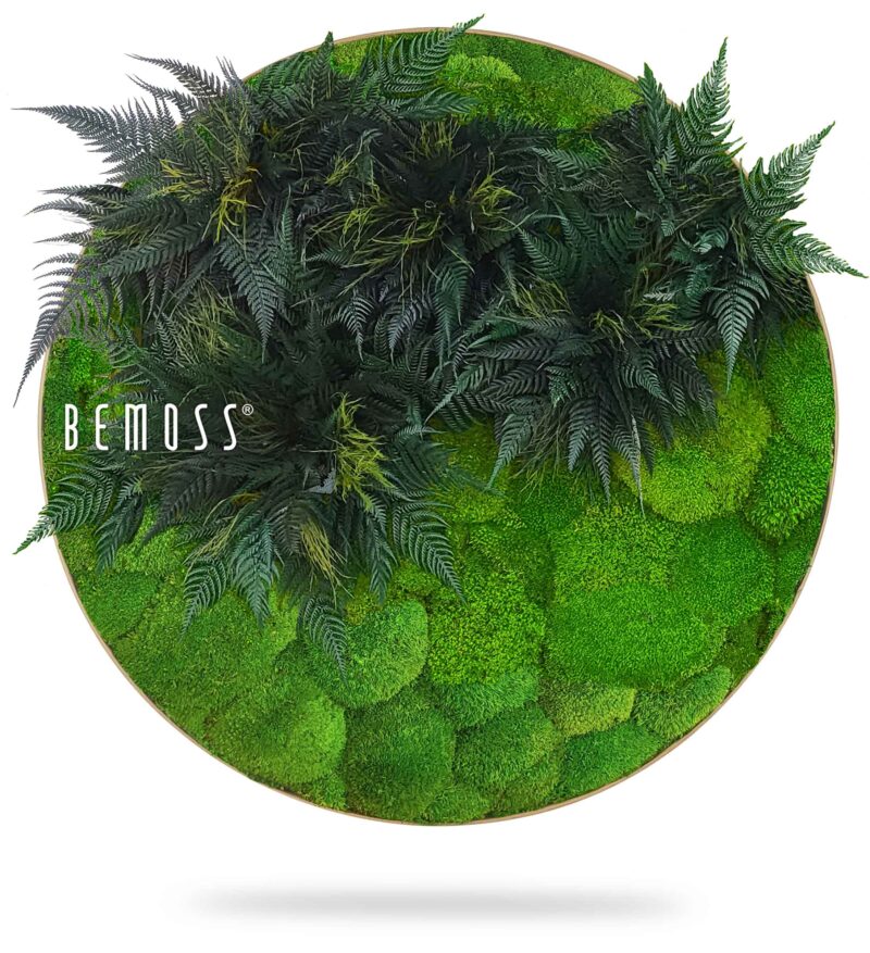 Tableau de mousse rond PLANTES Colila