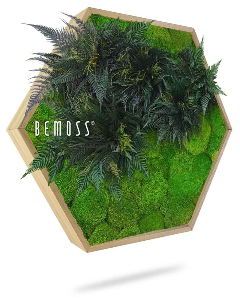Hexagone de mousse PLANTES Colila