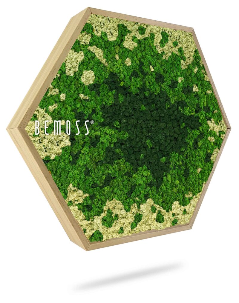 Hexagone de mousse BEMOSS® ORTHO SPLASH Green