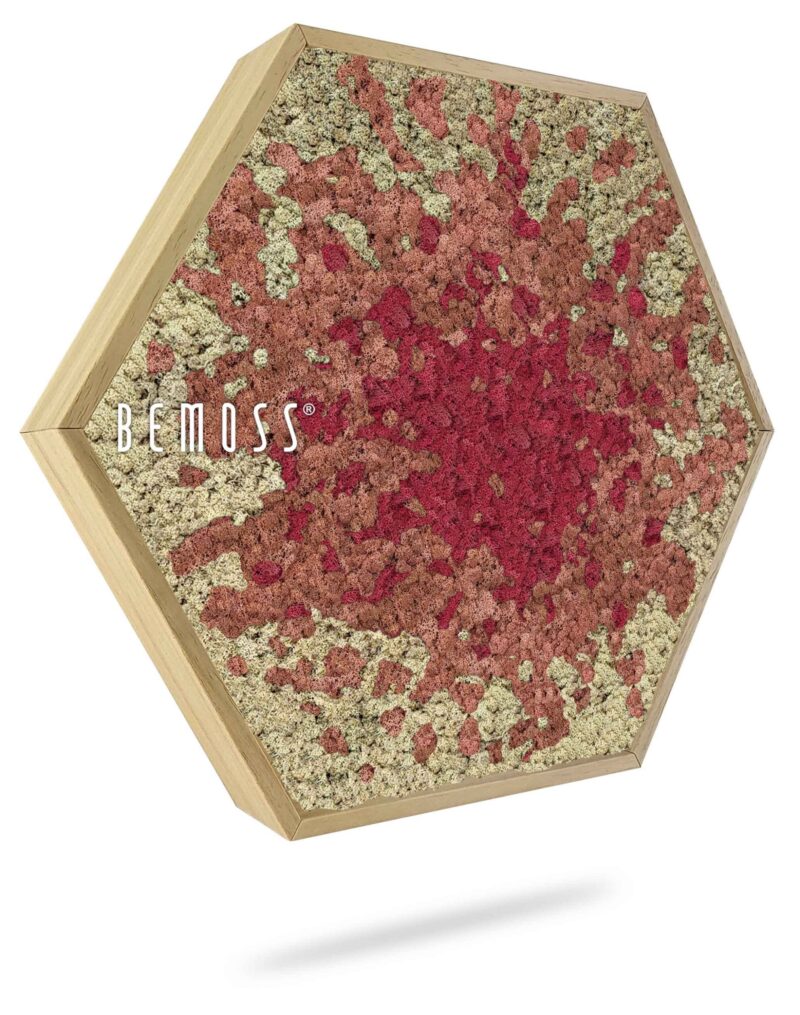 Hexagone de mousse BEMOSS® ORTHO SPLASH Rose