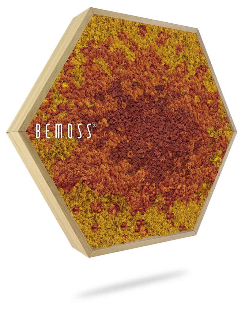 Hexagone de Mousse BEMOSS® ORTHO SPLASH Sienne