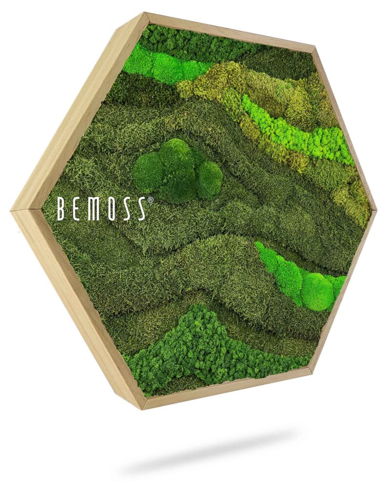 Hexagone de Mousse BEMOSS® ORTHO TOCÓN