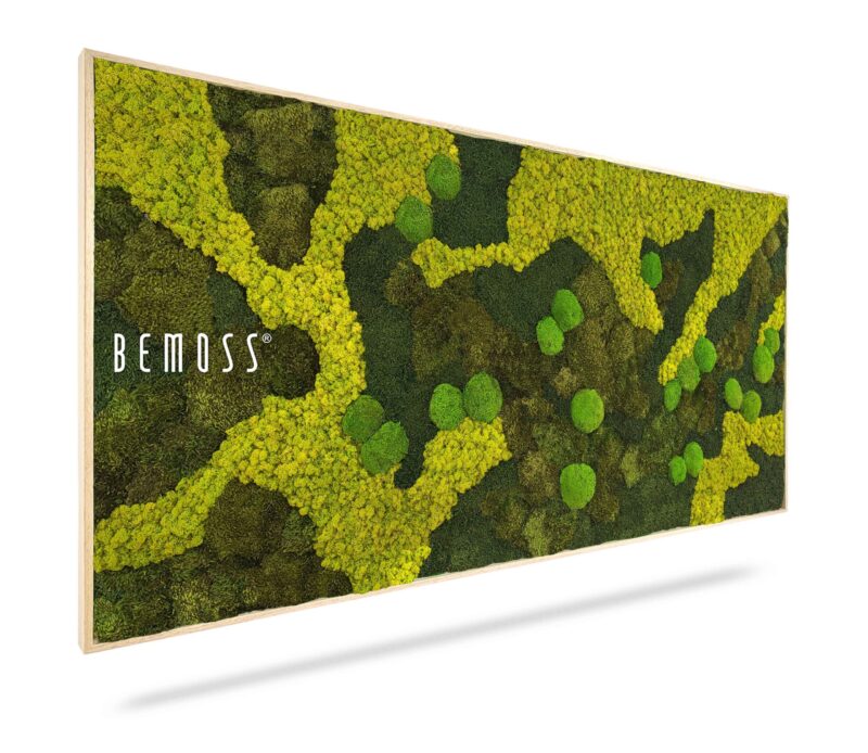Tableau de mousse BEMOSS® ORTHO BORJA mono