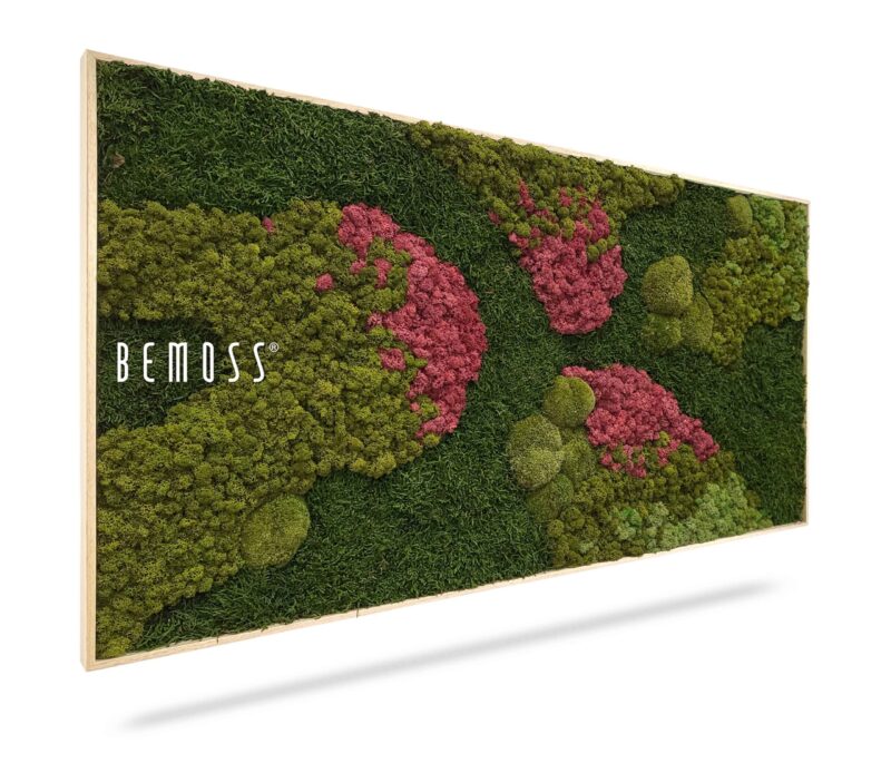 Tableau de mousse BEMOSS® ORTHO BURGUNDY