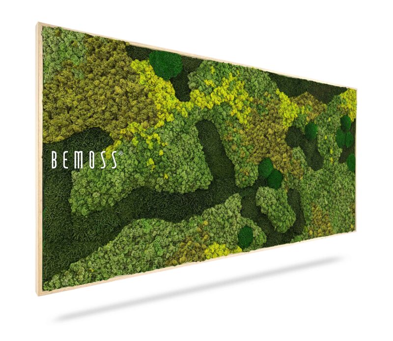 Tableau de mousse BEMOSS® ORTHO MEDIUM