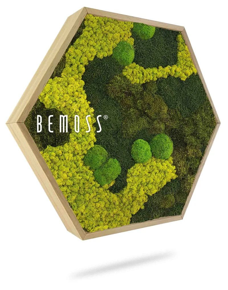 Hexagone de mousse BEMOSS® ORTHO BORJA mono