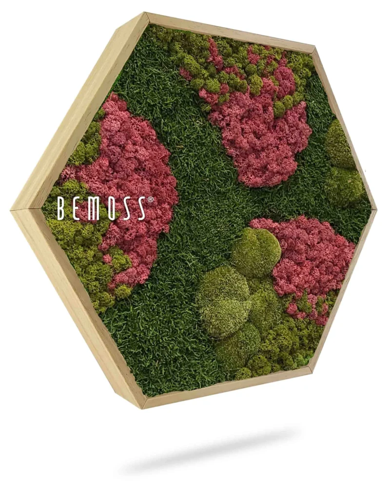 Hexagone de mousse BEMOSS® ORTHO BURGUNDY