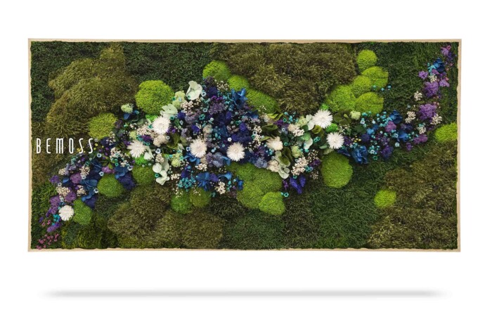 Un cadre rectangulaire présente un arrangement de mousse et de fleurs vibrant et préservé avec des grappes de mousse verte et des fleurs bleues, blanches et violettes. Le mot « Tableau de mousse PLANTES Acebo (Kópia) » est écrit sur le côté gauche du cadre. Le fond est blanc, créant un effet d'ombre en dessous.