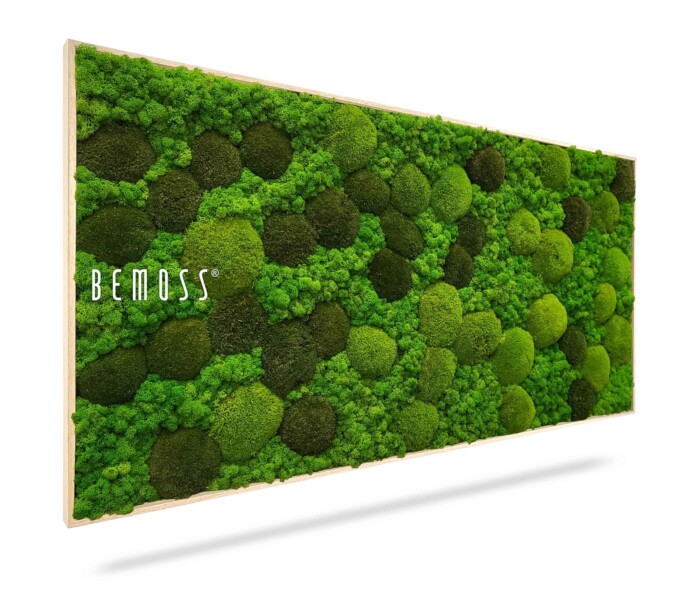 Une œuvre d'art murale rectangulaire présentant un mélange de mousse préservée d'un vert luxuriant dans diverses nuances et textures, disposées selon un motif abstrait. Le mot « Tableau de mousse BEMOSS® ORTHO MONETO » est affiché sur le côté gauche de l'œuvre. Le fond est blanc.
