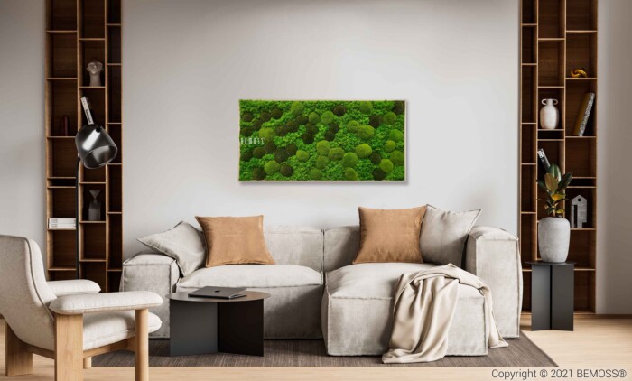 Un salon contemporain comprend un canapé sectionnel gris clair avec des oreillers marron et beige. Une couverture beige drape le bras. Deux étagères en bois intégrées flanquent le canapé et une œuvre d'art murale présentant le Tableau de mousse BEMOSS® ORTHO MONETO ajoute une touche de couleur au-dessus du canapé.