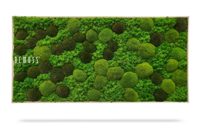 Une œuvre d'art murale rectangulaire présentant un arrangement de mousse verte dans différentes nuances et textures, formant un motif naturel et luxuriant. Le mot « Tableau de mousse BEMOSS® ORTHO MONETO » est écrit en blanc sur le côté gauche de l'œuvre.