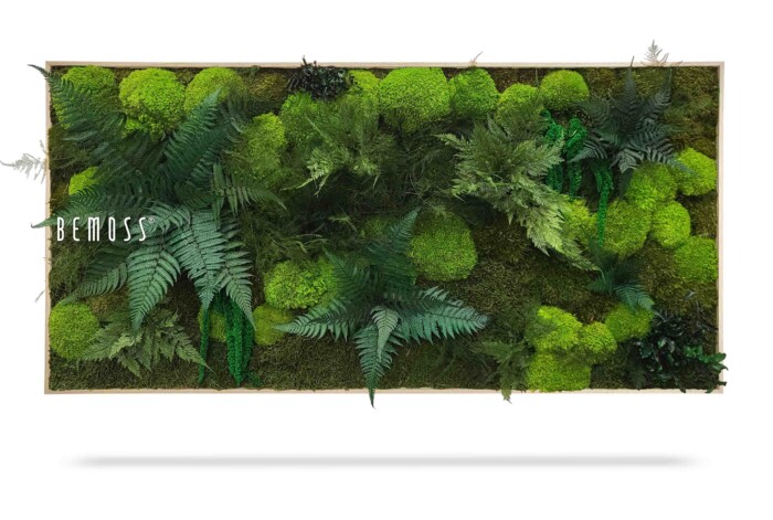 Un mur rectangulaire de mousse verte présentant différents types de mousse et de fougères est représenté. Il comprend un feuillage vert luxuriant et une variété de textures, créant une apparence vibrante et naturelle. Le mot « Tableau de mousse PLANTES VIGO » est imprimé en blanc sur le côté gauche du présentoir de mousse.