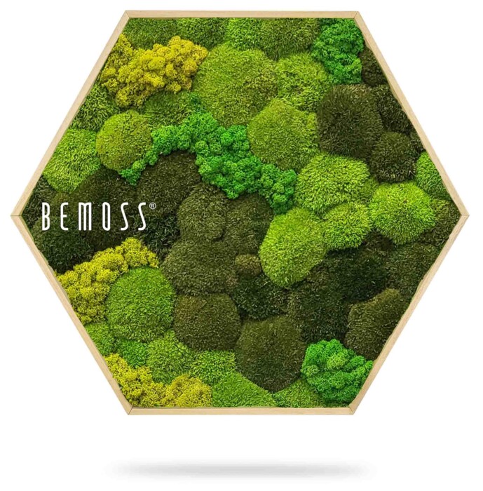 Cadre hexagonal en bois rempli de mousses et de lichens d'un vert éclatant, disposés selon un motif texturé et organique. Le nom de la marque « BEMOSS » est affiché sur le côté gauche du cadre.