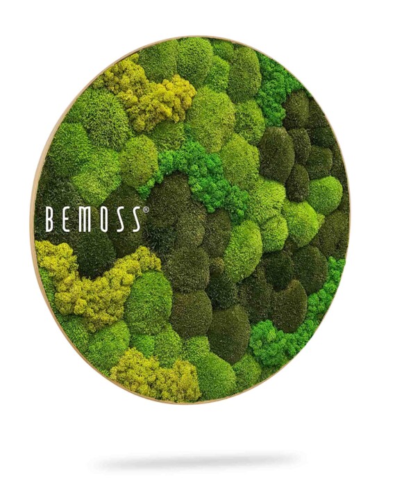 Une œuvre d'art murale circulaire en mousse préservée dans différentes nuances de vert. La pièce présente un motif texturé et naturel avec un mélange de segments de mousse vert clair, foncé et vibrant. Le mot « BEMOSS » est imprimé sur le côté gauche du cercle.