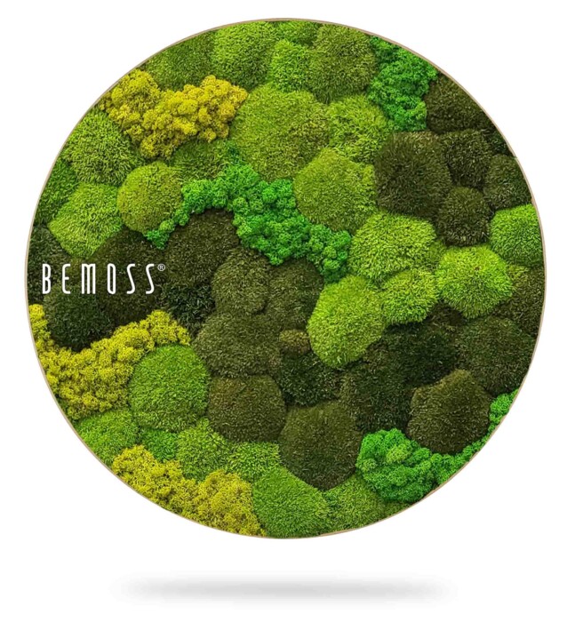 Un objet décoratif circulaire composé d'un assortiment de mousse verte et de verdure de différentes nuances et textures, disposé selon un motif visuellement agréable. L'objet porte l'inscription « BEMOSS® ».