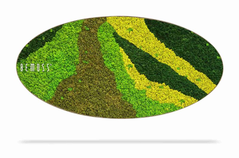 Tableau de mousse Ellipse BEMOSS® ORTHO CARROT