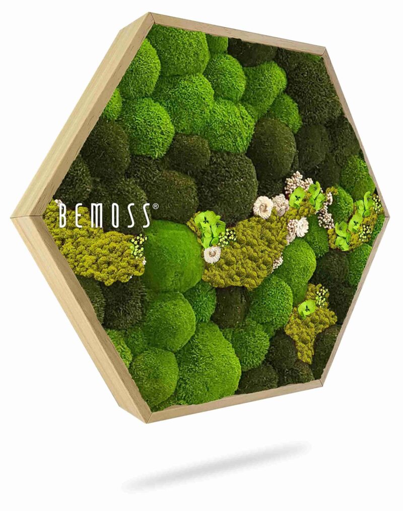 Hexagone de mousse BOLMOSS COSMO Lime