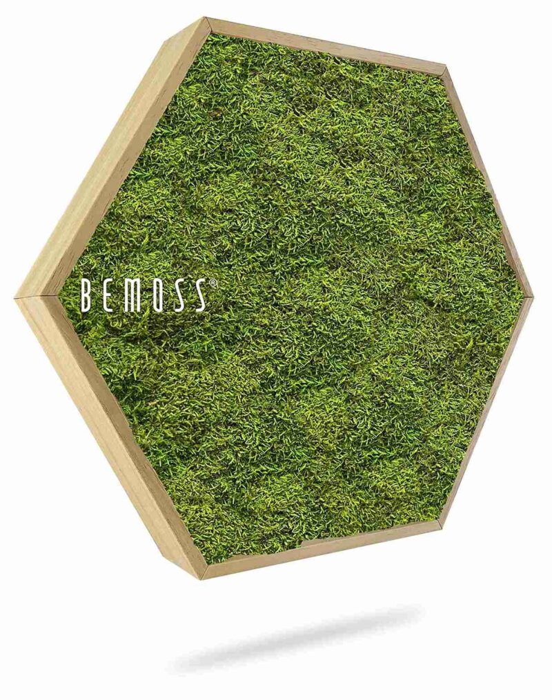 Hexagone de Mousse FLATMOSS Light
