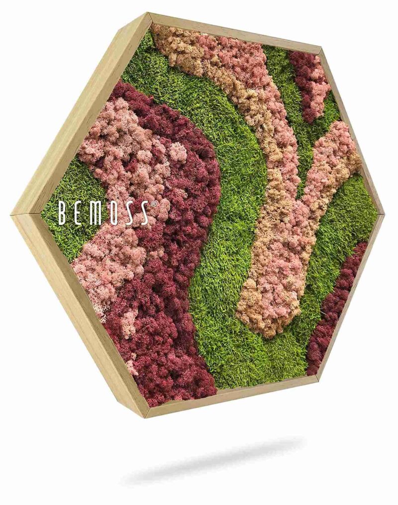 Hexagone de mousse BEMOSS® ORTHO ARROSA