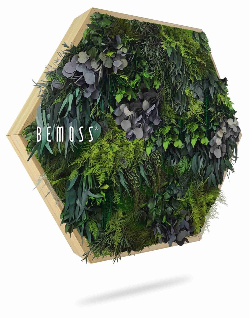 Hexagone de mousse PLANTES Parador