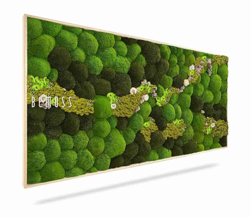 Tableau de mousse BOLMOSS COSMO Lime