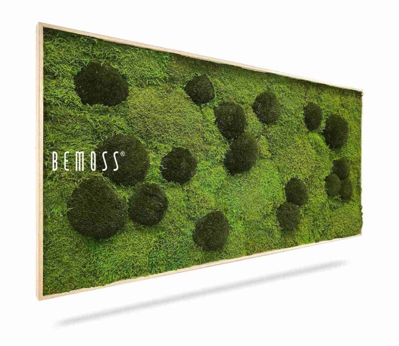 Tableau de mousse FLATMOSS & BOLMOSS Peva