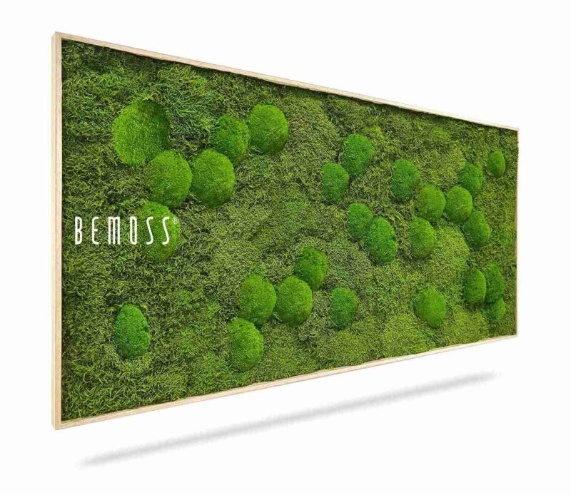 Tableau de mousse FLATMOSS & BOLMOSS Aves