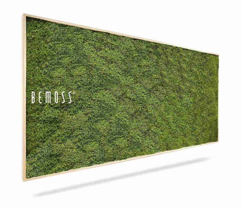 Tableau de mousse FLATMOSS Light