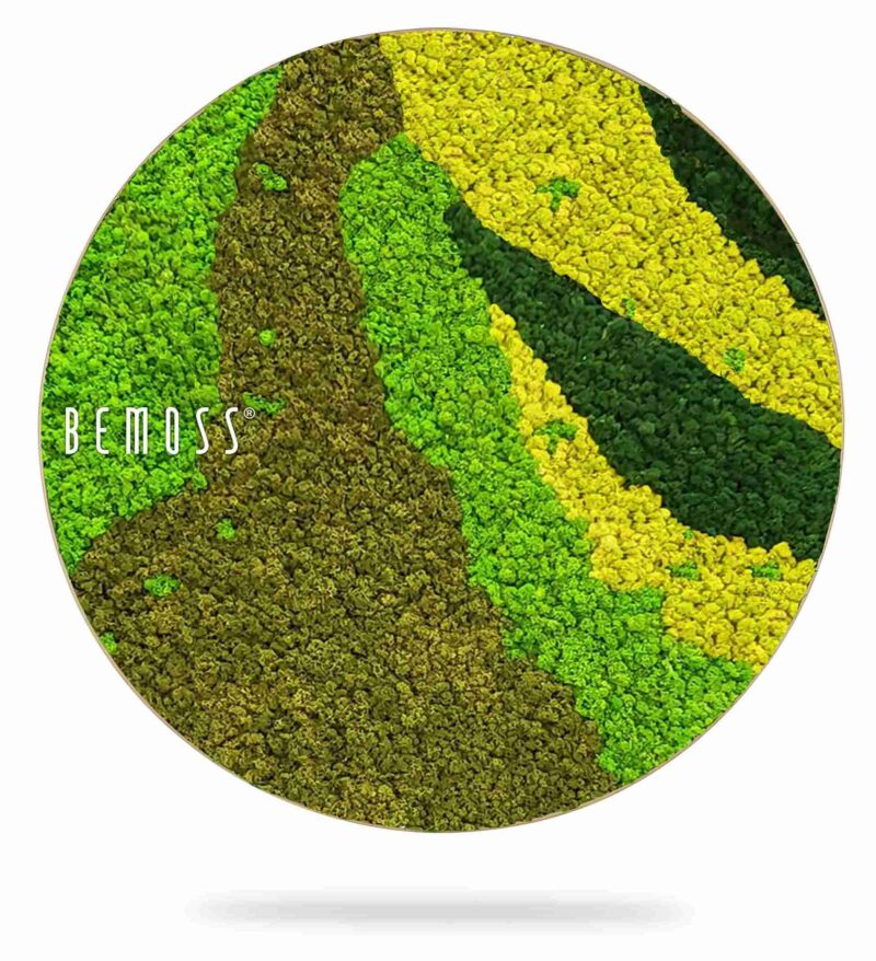 Tableau de mousse rond BEMOSS® ORTHO CARROT