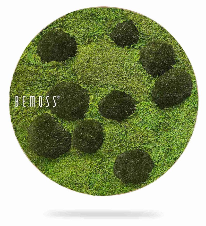 Tableau de mousse rond FLATMOSS & BOLMOSS Peva