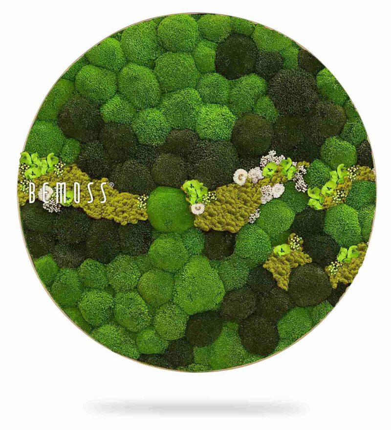 Tableau de mousse rond BOLMOSS COSMO Lime