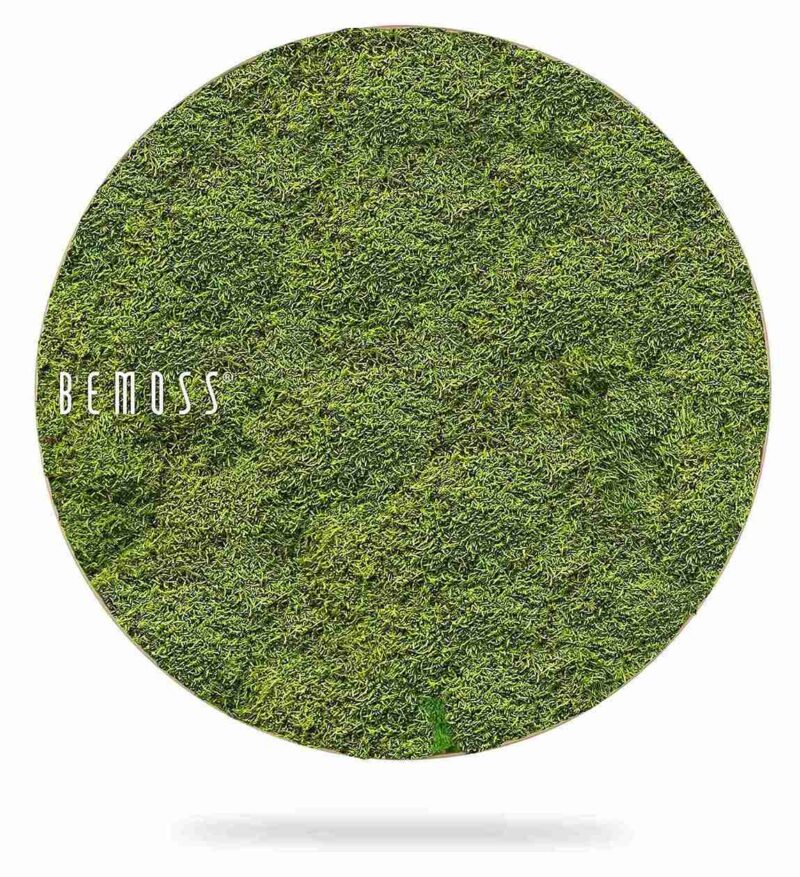 Tableau de mousse rond FLATMOSS Light