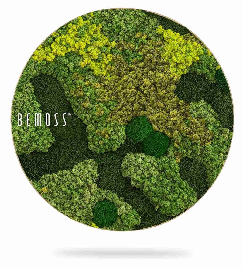 Tableau de mousse rond BEMOSS® ORTHO MEDIUM