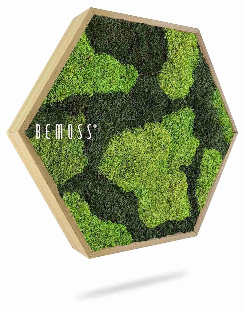 Hexagone de mousse FLATMOSS BOVINO