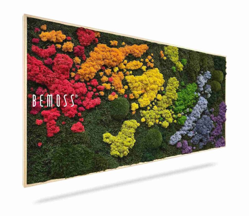 Tableau de mousse BEMOSS® ORTHO IRIS