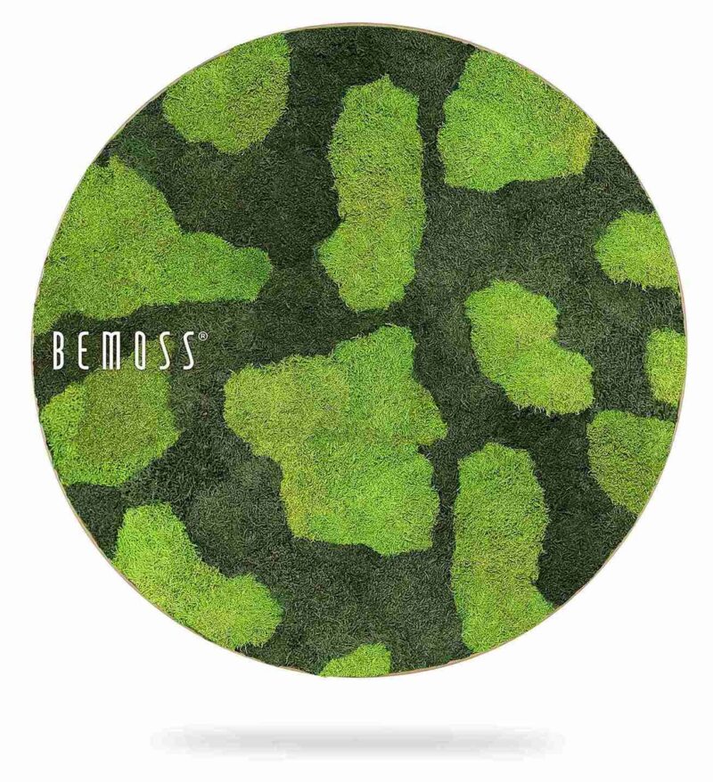 Tableau de mousse rond FLATMOSS BOVINO