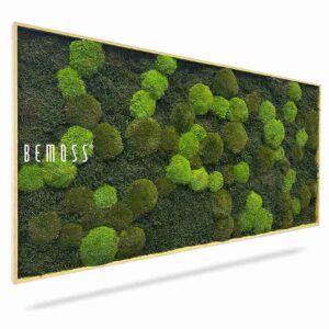 Tableau de mousse FLATMOSS & BOLMOSS Doven mono - Thumbnail Image 1