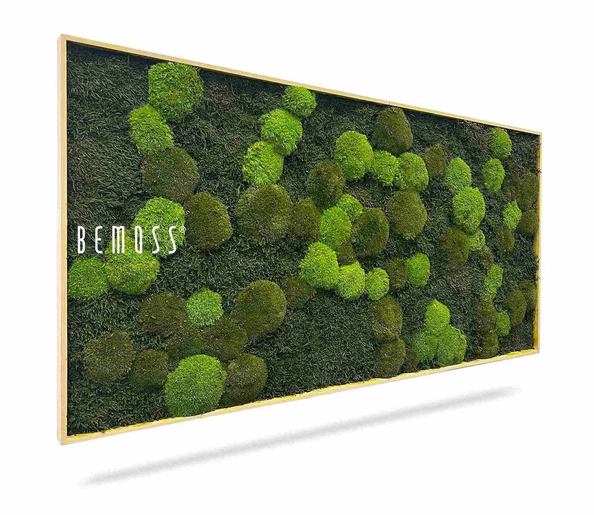 Tableau de mousse FLATMOSS & BOLMOSS Doven mono – Image 1