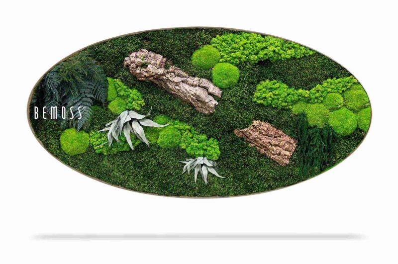Tableau de mousse Ellipse PLANTES Alona