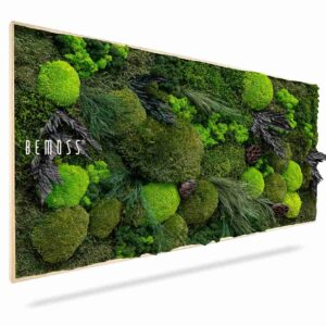 Tableau de mousse PLANTES Amar - Thumbnail Image 1