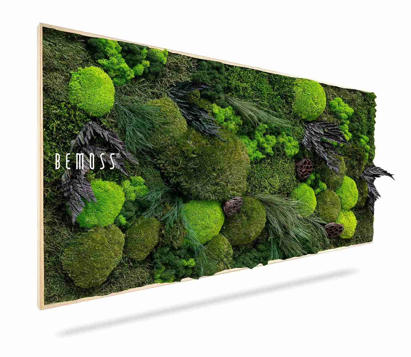 Tableau de mousse PLANTES Amar – Image 1